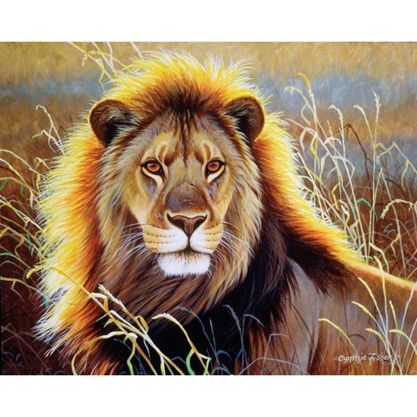Peinture au numéro : Lion dans la savane - toile tendue sur châssis - FiguredArt-FA10048-Y