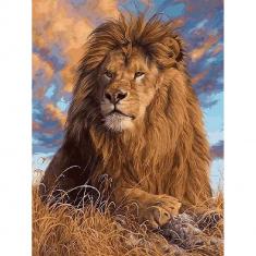 Paint by numbers The Lion's Rest - without frame