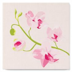 Mini Paint by numbers Pink Orchids Set 3 of 4 - already stretched on a wooden frame