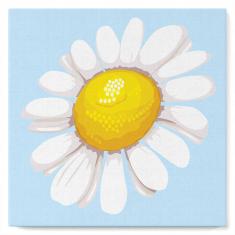 Mini Paint by numbers Pretty Daisy - already stretched on a wooden frame