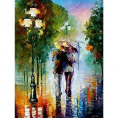 Paint by numbers Romanticism under the Rain - without frame