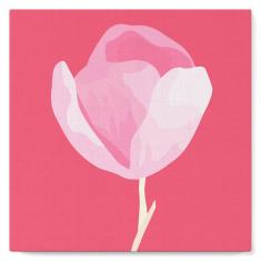 Mini Paint by numbers Sweet Pink Tulip - already stretched on a wooden frame