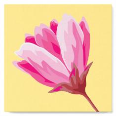 Mini Paint by numbers Pretty Pink Magnolia - already stretched on a wooden frame