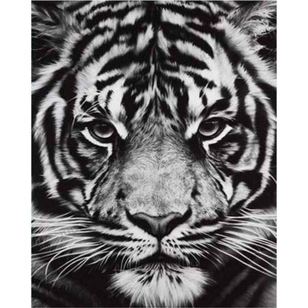 Peinture au numéro : Tête de Tigre en noir et blanc  - sans châssis en bois - FiguredArt-PN1516