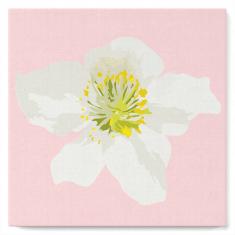 Mini Paint by numbers Pretty White Wild Rose - already stretched on a wooden frame