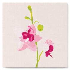 Mini Paint by numbers Pink Orchids Set 1 of 4 - already stretched on a wooden frame