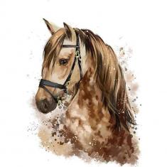 Paint by numbers Brown Horse - without frame