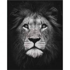 Paint by numbers Lion Head Black And White - without frame