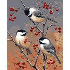 Paint by numbers Birds and Fruit Tree - already stretched on a wooden frame