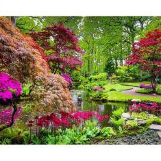 Paint by numbers Beautiful Park - without frame