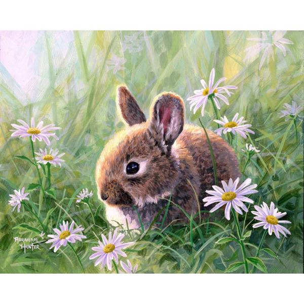 Peinture au numéro : Lapin et marguerites - toile tendue sur châssis - FiguredArt-FA10007-Y