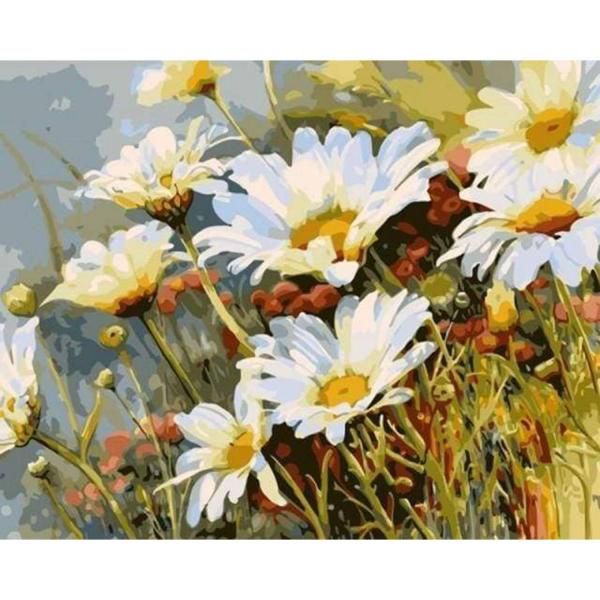 Peinture au numéro : Champ de Marguerites  - sans châssis en bois - FiguredArt-PN060