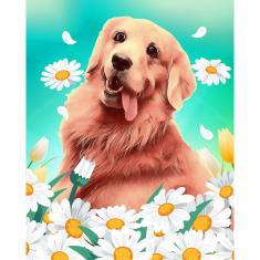 Paint by numbers Happy Golden Retriever and Daisy - already stretched on a wooden frame