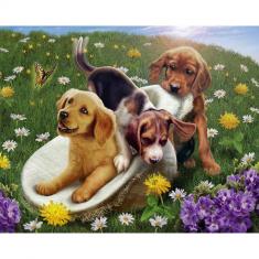 Paint by numbers Dogs playing - without frame