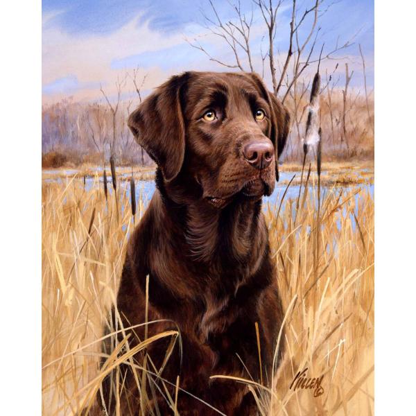 Peinture au numéro : Chien labrador - toile tendue sur châssis - FiguredArt-FA10037-Y