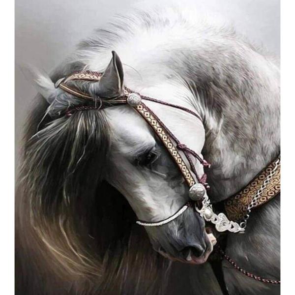 Diamond painting : Elegante Caballo Gris - sin marco de madera - FiguredArt-DP-966