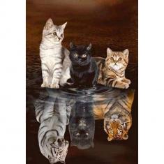Diamond Painting Kitten Reflection - without frame