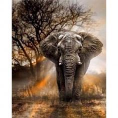 Paint by numbers Lonely Elephant - without frame