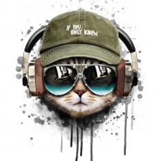 Malen nach Zahlen Coole Katze - ohne Keilrahmen