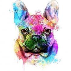 Paint by numbers Dog Portrait in Color - without frame