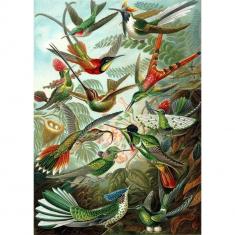 Paint by numbers All the Birds - without frame