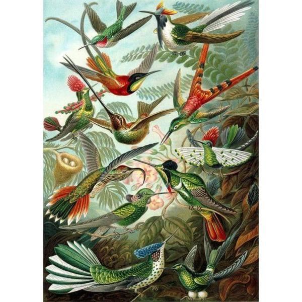 Peinture au numéro : Tous les oiseaux  - sans châssis en bois - FiguredArt-PN2206