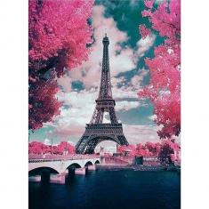 Diamond Painting Eiffel Tower and Flowers - without frame