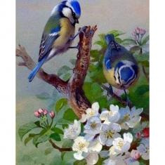 Diamond Painting Leinwand Blaumeise auf Ast - ohne Keilrahmen