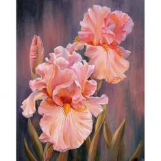 Paint by numbers Flower in Wonderland - without frame