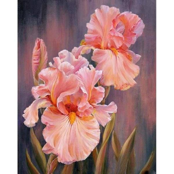 Peinture au numéro :  Iris rosé  - sans châssis en bois - FiguredArt-PN1109