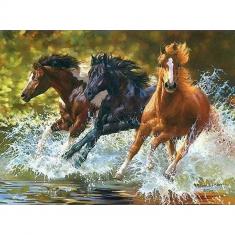 Peinture au numéro : Chevaux de Camargue  - sans châssis en bois