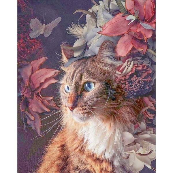 Peinture au numéro : Chat Fleurs et Papillon  - sans châssis en bois - FiguredArt-PN8104