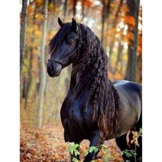 Diamond Painting Black Mare - without frame
