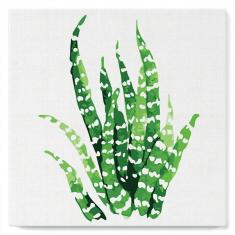 Mini Paint by numbers Abstract Aloe Vera Plant - already stretched on a wooden frame