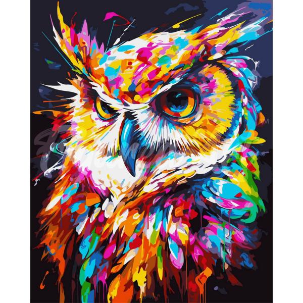 Peinture au numéro : Hibou Coloré Abstrait - toile tendue sur châssis - FiguredArt-FA10206-Y