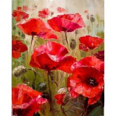 Peinture au numéro : Champ de Coquelicots  - sans châssis en bois