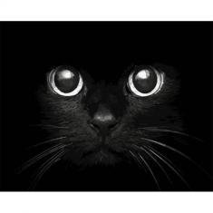 Peinture au numéro : Tête de Chat noir  - sans châssis en bois