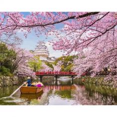 Paint by numbers Cherry Blossom in Japan - without frame