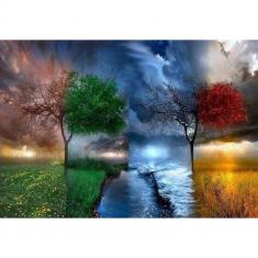 Paint by numbers The 4 Seasons - without frame