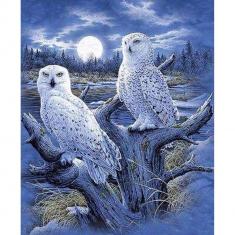 Broderie diamant : Chouettes et Lune - sans chassis en bois