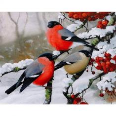 Paint by numbers European Robin during Winter - without frame