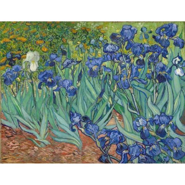 Peinture au numéro : Van Gogh Iris  - sans châssis en bois - FiguredArt-PN1945