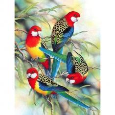 Diamond Painting Parrots on Branch - without frame