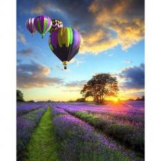 Paint by numbers Hot Air Balloon over the Purple Fields - without frame