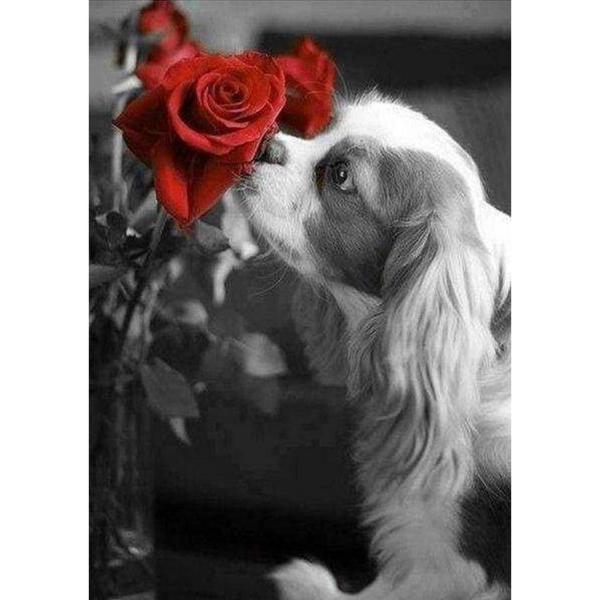 Broderie diamant : Chien et Rose - sans chassis en bois - FiguredArt-DP-296