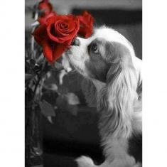 Diamond Painting Leinwand Hund und Rose - ohne Keilrahmen