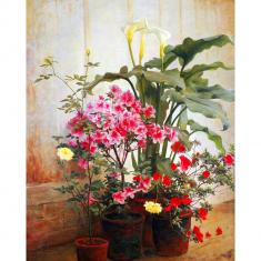 Diamond Painting George Cochran Lambdin's Side of a Greenhouse - without frame