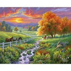 Paint by numbers Sunny Meadow - without frame