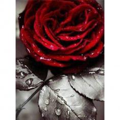 Broderie diamant : Rose Rouge - sans chassis en bois