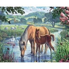 Diamond Painting Horses and Creek - without frame